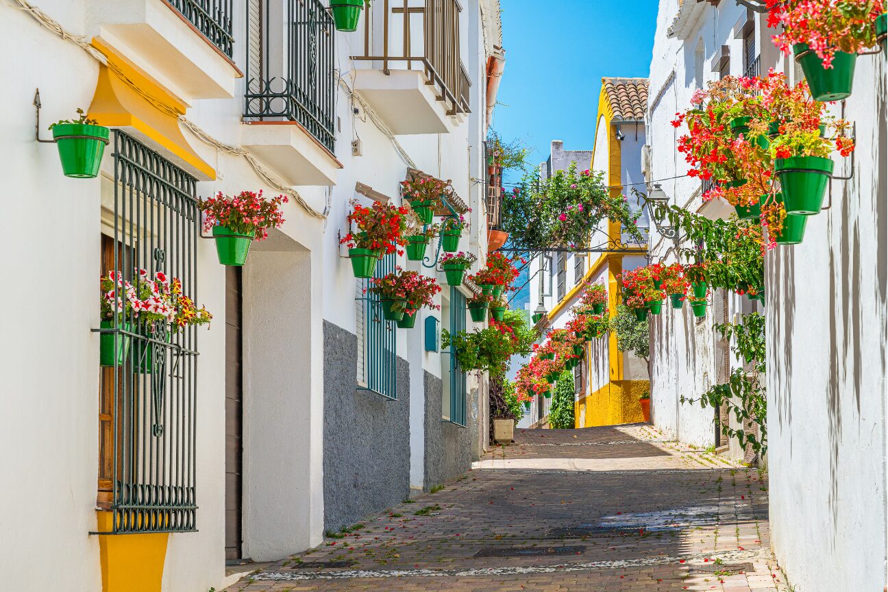 Estepona Town