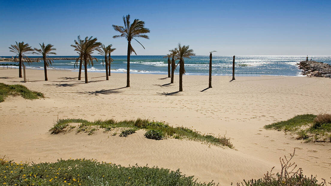 Elviria / East Marbella